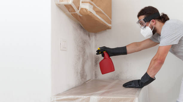 Professional Black Mold Remediation technician working in Milroy, PA