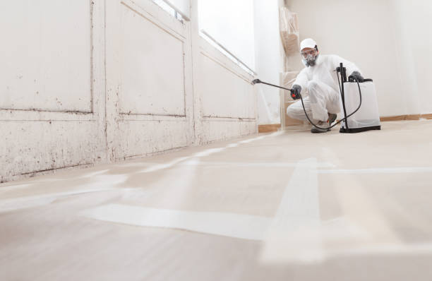 24/7 Emergency Black Mold Remediation experts in Milroy, PA